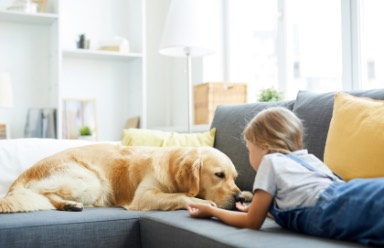 kid and dog on couch