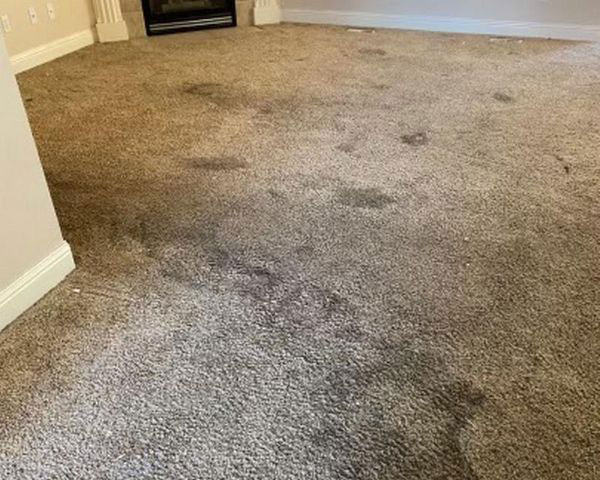 carpet-cleaning-before carpet-cleaning-before